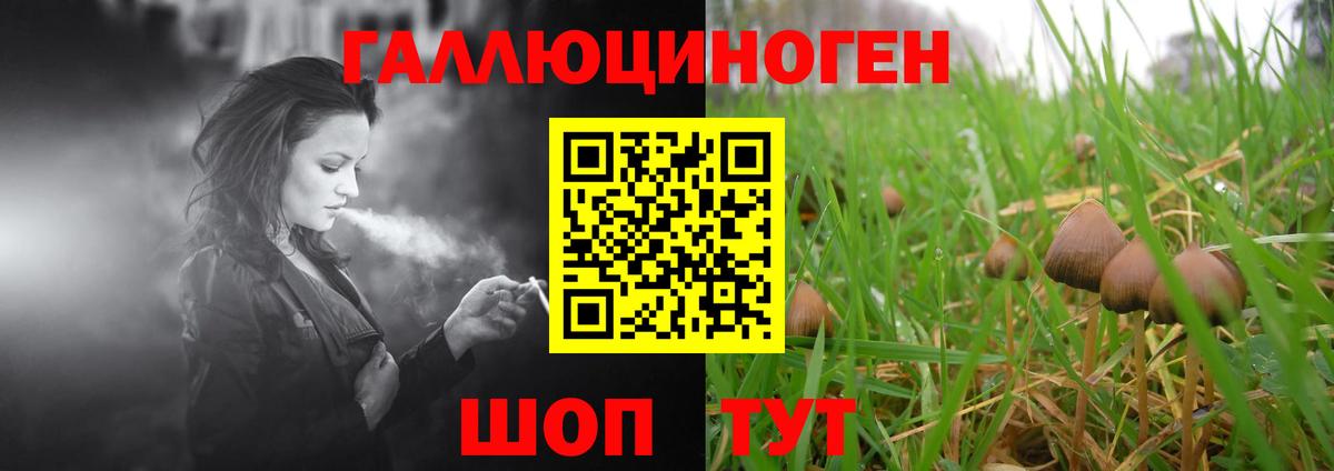 наркотики  Псилоцибиновые грибы прущие грибы  Чехов  Вход с VPN  Галлюциногенные грибы ЛСД 